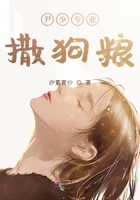 安达集团