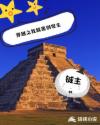 视频app色版网站大全