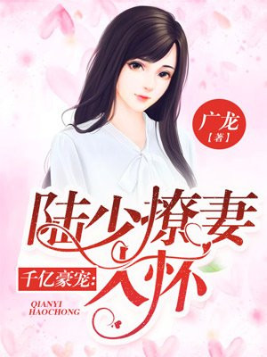 全职高手免费观看风车
