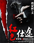 老马识途柳娇娇