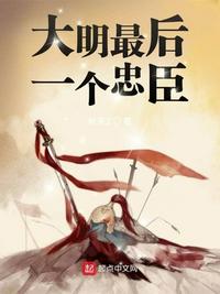 颉颃小说