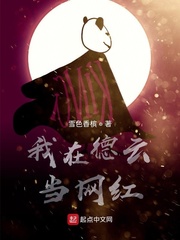 不二兄弟电影在线观看视频