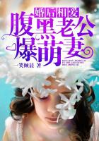 强行挺进赵丽颖的后臀小说