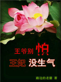 飙速动画片免费观看