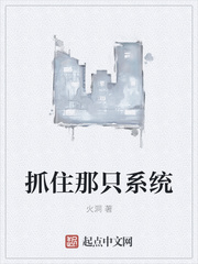 男人视频在线观看免费