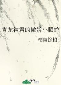 武林外传电影版