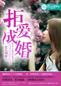 《悖论》小说by流苏