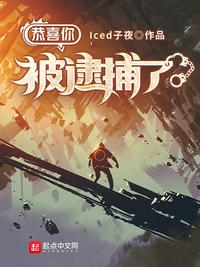 报告夫人漫画