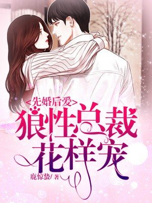 av导航网站