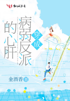 花非花电视剧