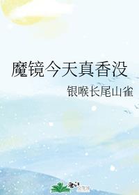 345电影网手机版