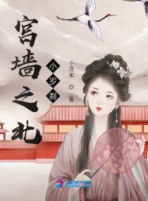 金梅瓶全集