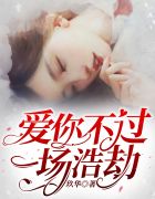 全职法师免费下载