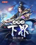 雷光网