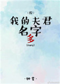 月颜之夜