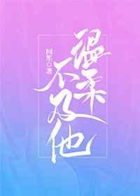 韩国公和熄2完整电影