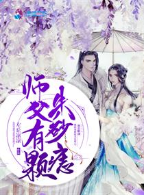 丈母娘和女婿小说