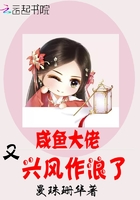 浮世双娇传剧情介绍