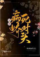 1.85狐月玉兔传奇