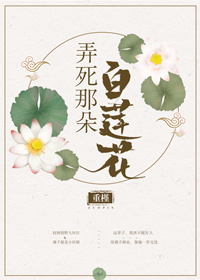 秦丽娟的故事全文阅读