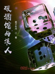 金衣大侠
