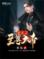 公园之夜小说