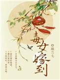 免费视频黄