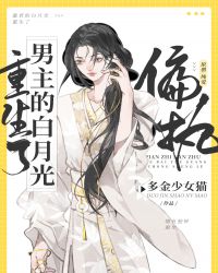 风扇灯