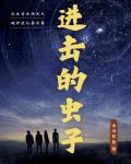 感动之星的视频全集播放免费观看
