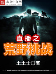 碧血剑江华版