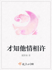 yezhulu备用地址