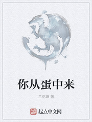 tacotuesday什么意思