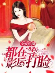 扬思敏全集1一5集正版