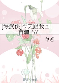 chinese china中国wc
