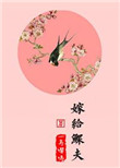 怪侠一枝梅电视剧