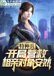 辐射避难所攻略