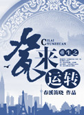 教授的隐秘魅力未删减