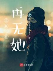 双H2v1