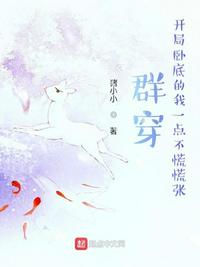 陆铭霍雨桐小说