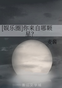老湿视频全集免费式看