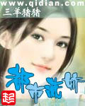 运河风流剧情介绍