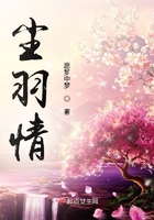 蓝导航正品网站