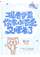 开发三味全集有字幕