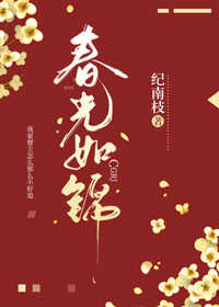 两朵金花更新