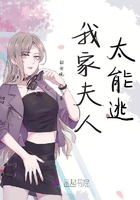 淑女的悲哀