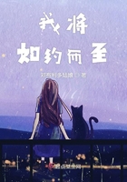 sese小说