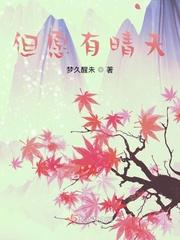 艳妻小说全文阅读目录