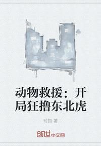 第九区在线观看免费版