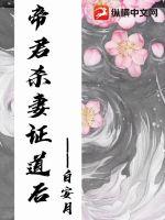 成影院视频播放器