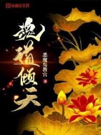 全部视频列表免费播放